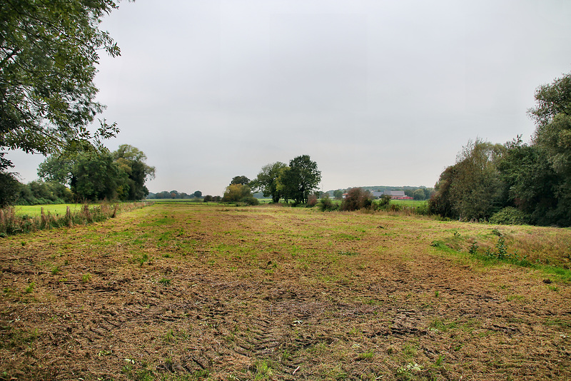 Seseke-Aue (Bönen) / 9.10.2023