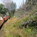 From Wernigerode to the Brocken by steam train, Germany