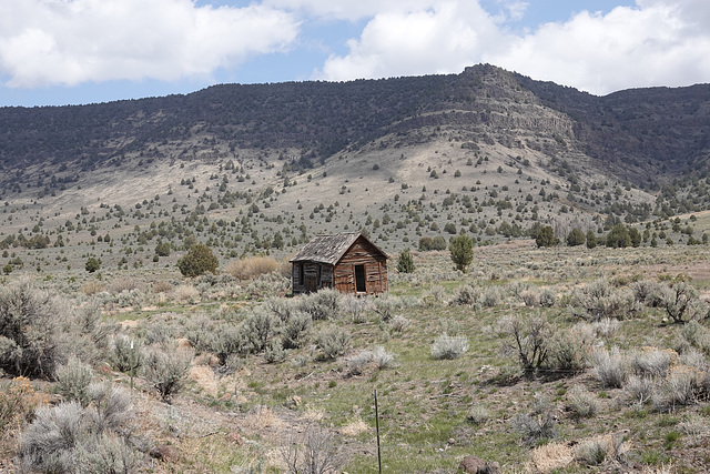 Shack at Sixmile