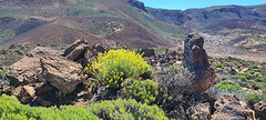 au abord du Tiede