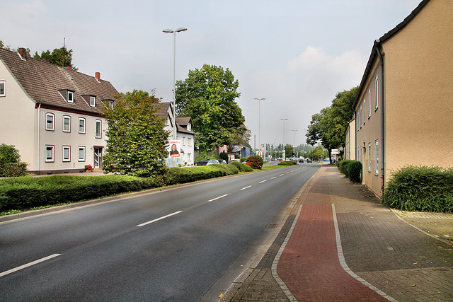 Holsterhauser Straße (Herne-Holsterhausen) / 26.08.2017