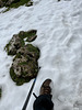 Snow !