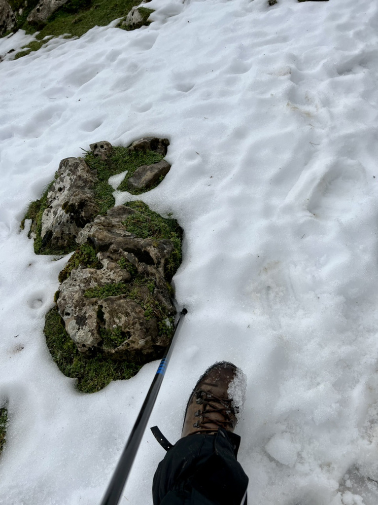 Snow !
