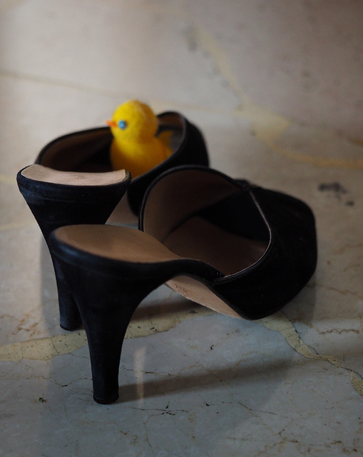 NORA / Poussin et talons hauts -  Little chick and high heels