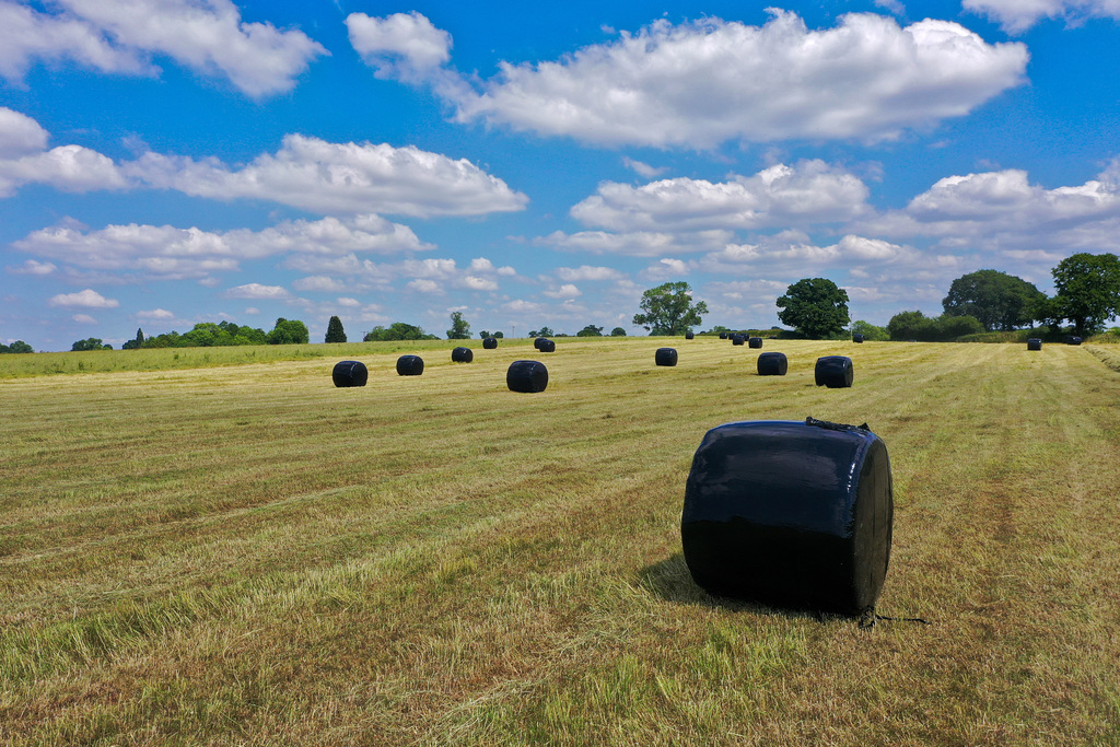 Field of bales