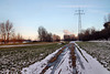 Weg zwischen Rheinufer und HKM-Werksgelände (Duisburg-Hüttenheim) / 20.01.2024