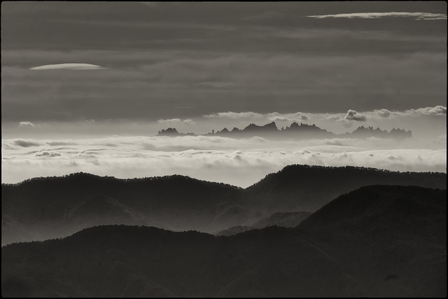 Sota l'ombra de la llum