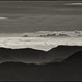 Sota l'ombra de la llum
