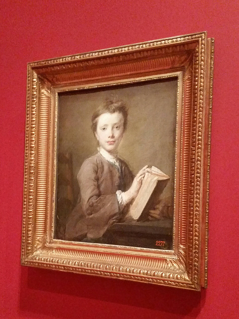 Boy with a book