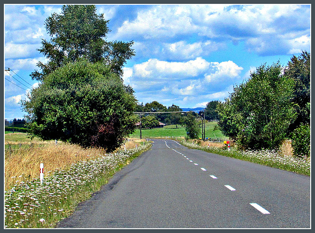 Roadside Nature.