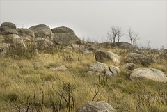 Parque Nacional da Peneda-Gerês, insert