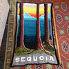 "Sequoia", crocheted panel for Spring 2017 installation