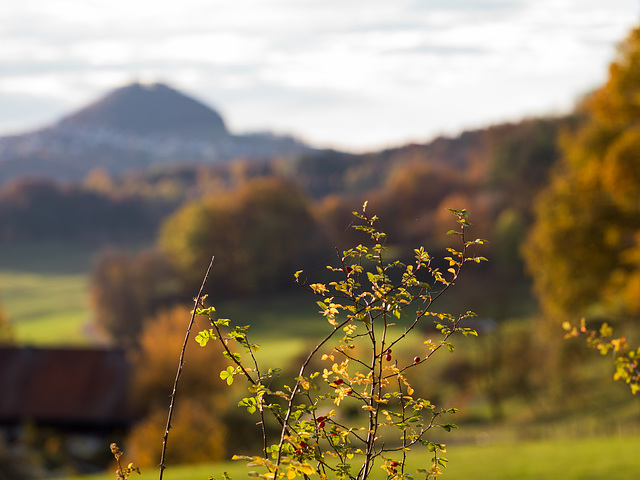 Hohenstaufen