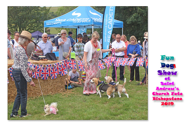 Fun Dog Show St Andrew's Fete 2019 a