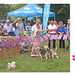 Fun Dog Show St Andrew's Fete 2019 a