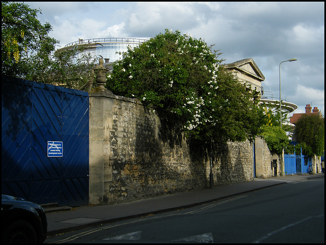 hiding Blavatnik