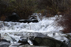 Ribeira do Vascã0