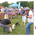 Fun Dog Show St Andrew's Fete 2019 b