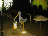 Stork, Ephia Island , Greece