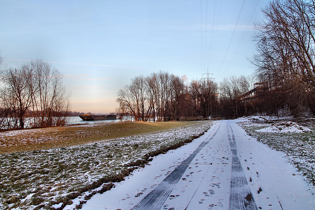 Weg zwischen Rheinufer und HKM-Werksgelände (Duisburg-Hüttenheim) / 20.01.2024