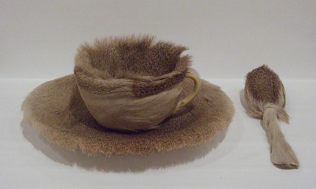 Object by Meret Oppenheim in the Museum of Modern Art, March 2010