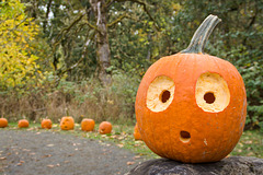 Wide Eyed Happy Halloween