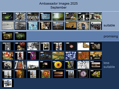 Ambassador Images 2025, September