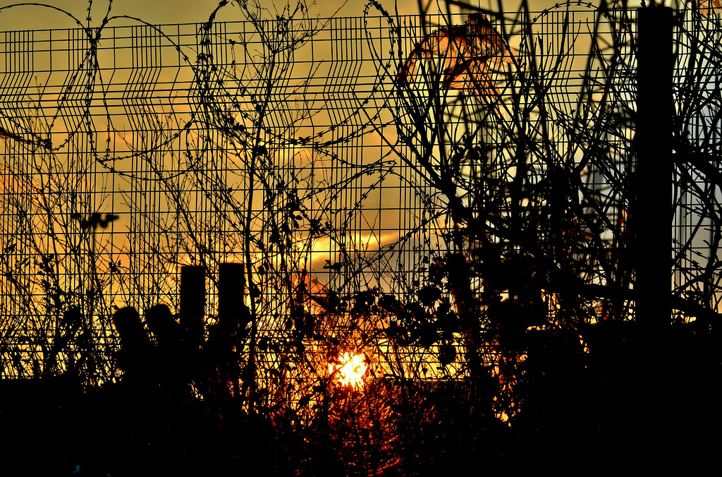 Urban Sunset 2