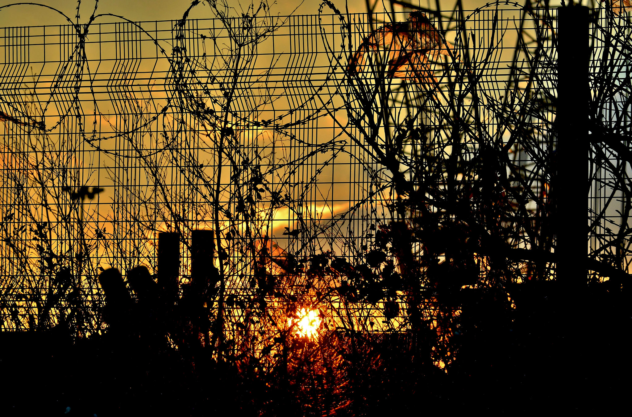 Urban Sunset 2