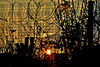 Urban Sunset 2