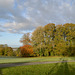Autumn in Buckland Abbey