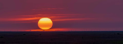 Burton Marshes sunset