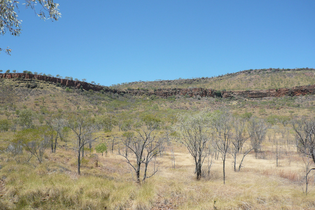 In The Northern Territory