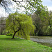 River Wear At Durham