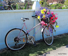 Floral Bike.