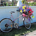 Floral Bike.