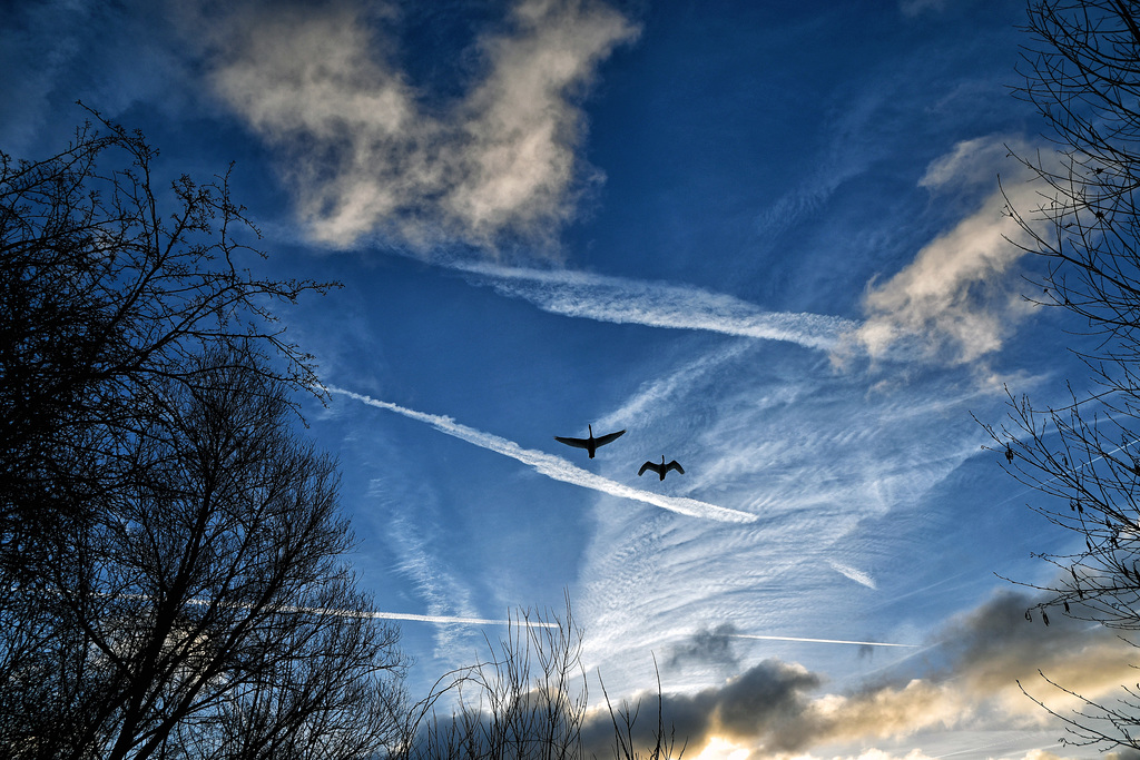 Überflieger