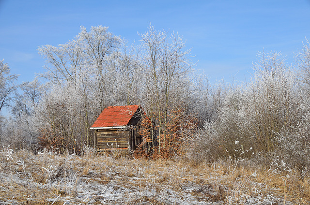 Bienenhaus