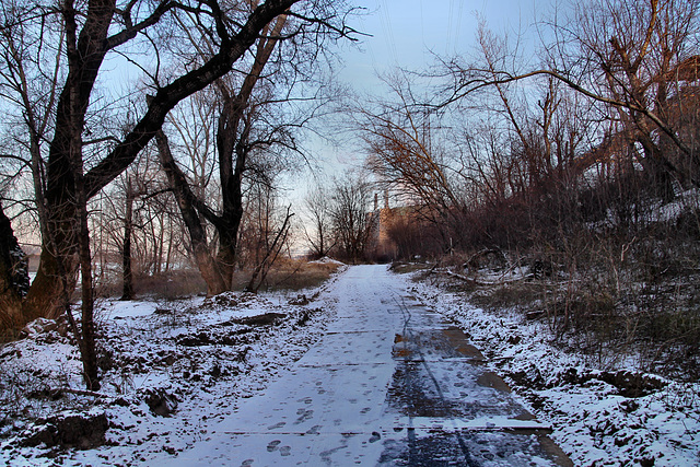 Verschneiter Weg am Rheinufer (Duisburg-Hüttenheim) / 20.01.2024