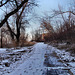 Verschneiter Weg am Rheinufer (Duisburg-Hüttenheim) / 20.01.2024