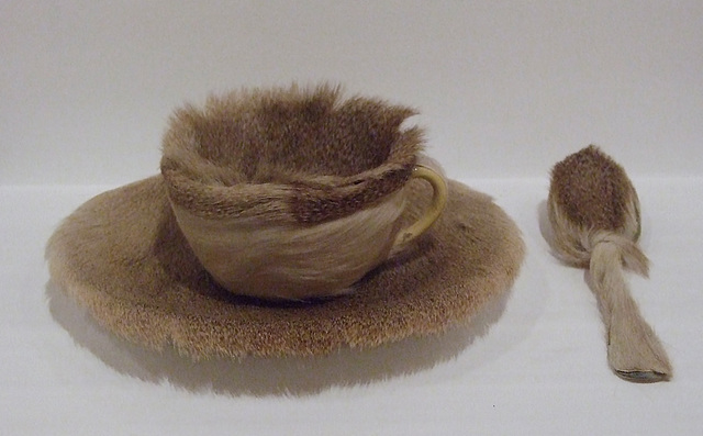 Object by Meret Oppenheim in the Museum of Modern Art, March 2010