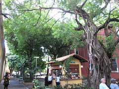 Ceará Centre of Tourism.