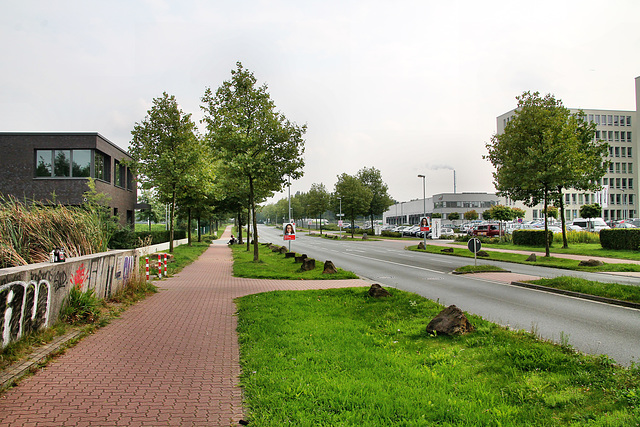 Koniner Straße (Herne-Holsterhausen) / 26.08.2017