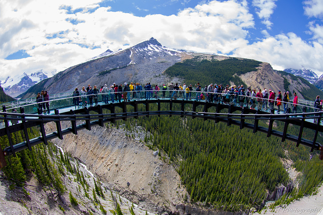 Jasper Nat Park Glacier Skywalk Canada