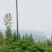 Smoke from Forest Fires near Likely BC