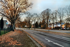 Feldhauser Straße (Gelsenkirchen-Buer) / 24.12.2022