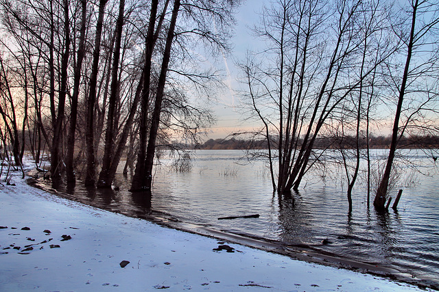 Rheinufer hinter dem HKM-Werksgelände (Duisburg-Hüttenheim) / 20.01.2024