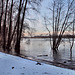 Rheinufer hinter dem HKM-Werksgelände (Duisburg-Hüttenheim) / 20.01.2024