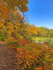 Path Around the Pond