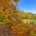 Path Around the Pond